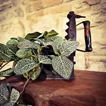 בית נופש O Rosa Bella Via Savelli Della Porta 24