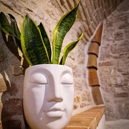 O Rosa Bella Via Savelli Della Porta 24 구비오