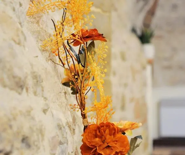 Prázdninový dům O Rosa Bella Via Savelli Della Porta 24 *