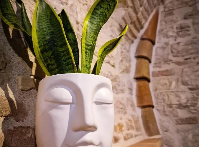 O Rosa Bella Via Savelli Della Porta 24 Gubbio